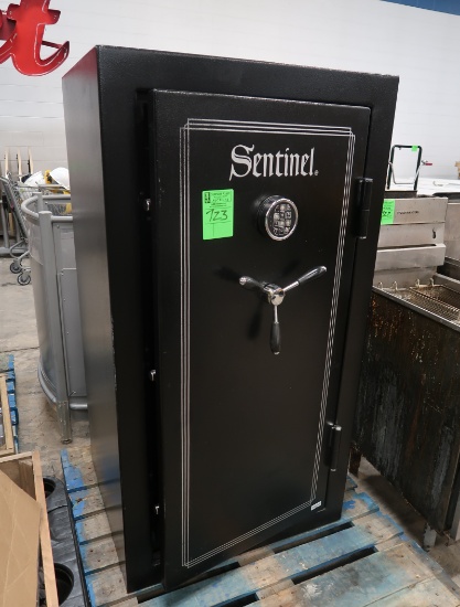 Sentinal digital safe, open, but combo unknown