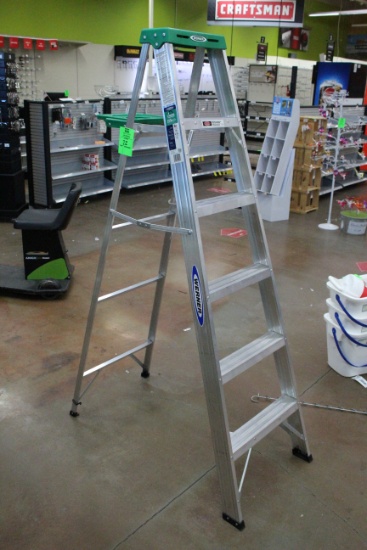Werner 6' Ladder W/ Paint Tray