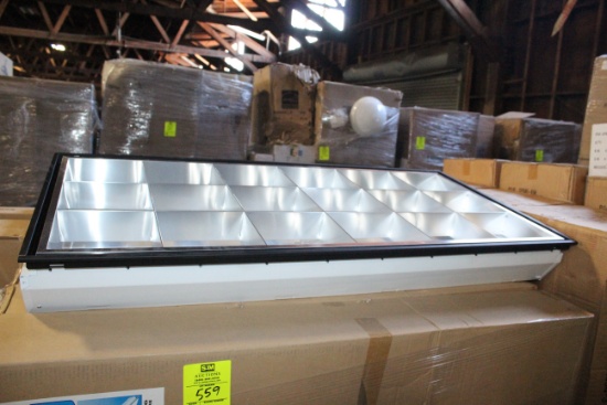 Archipelago 48" Fluorescent Louver Troffers