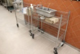 Two Tier Wire Carts