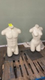 Mannequin torsos and stands