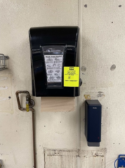 Paper Towel and Soap Dispenser