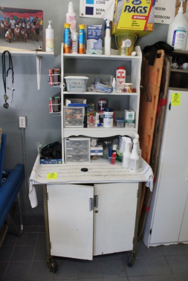 First Aid Cabinet And Contents