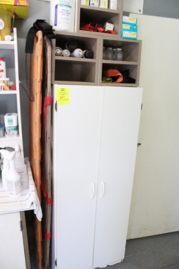 First Aid Cabinet And Contents