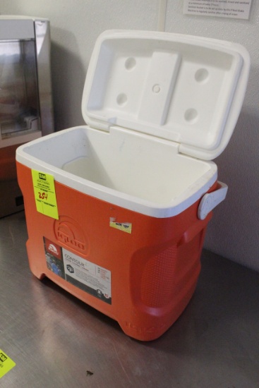 Igloo 30qt Ice Chest