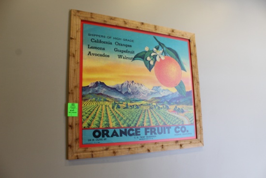 Orange Fruit Co Framed Art