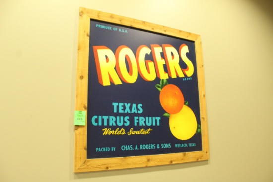 Rogers Texas Citrus Framed Art