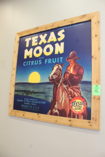 Texas Moon Citrus Framed Art