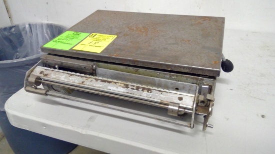 Analog Scale
