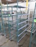 wire shelving unit, coated, on casters