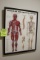 Anatomical Framed Print And Models On Floor