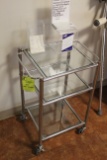 Portable Stainless Steel/Glass Table
