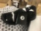 10 Pairs Of Malibu Canyon Black Sandals
