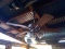 Ceiling Fans On Patio