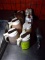 Group Of Condiment/Ingredient Dispensers