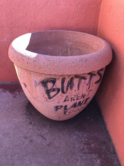 24in Diameter Cement Planter