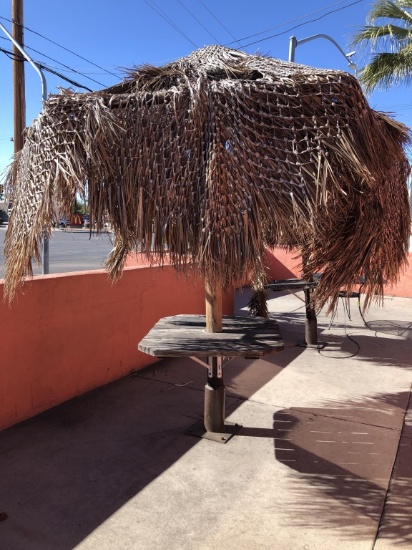 3ft x 3ft Table With Grass Shade