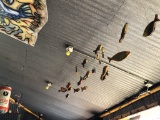 Hanging Fish Decor