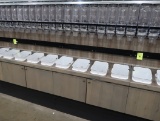 bulk bin cabinet- both gravity & reach-in, 2) sections