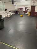 Rubber Mats NE Lobby Approx 650 SqFt
