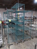 wire shelving units, epoxy coated