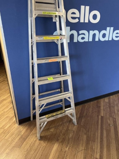 Werner 6ft Ladder