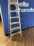 Werner 6ft Ladder