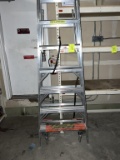 Werner 8ft Ladder