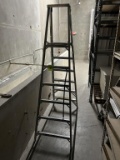 Werner 6ft Ladder