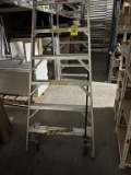 Werner 10ft Ladder