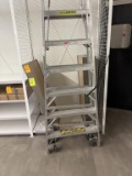 Werner 8ft Ladder