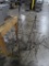 wire plant stands & topiary frames