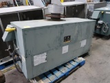 Raypak Delta hot water boiler