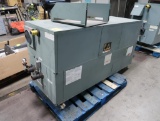 Raypak Delta hot water boiler