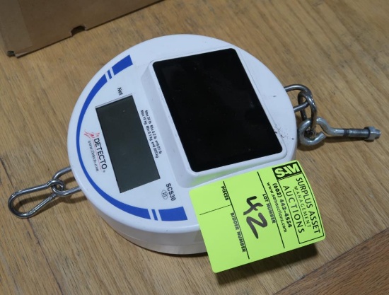 Detecto hanging digital scale