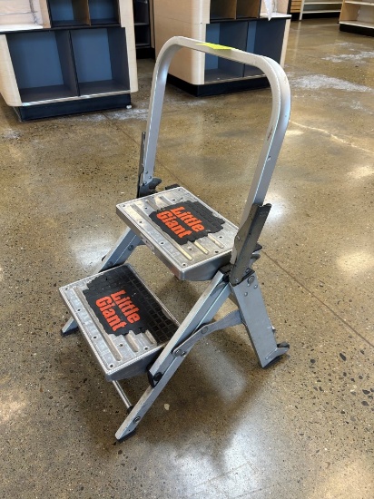 Little Giant Step Ladder