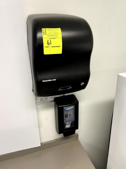 Paper Towel and Soap Dispenser