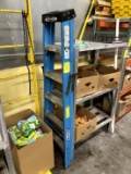 Werner 6ft Ladder