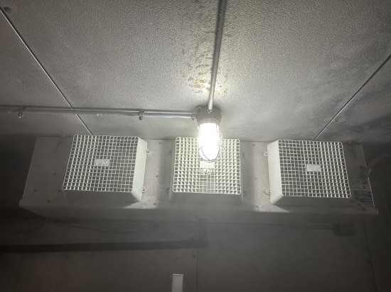 Bohn 3 fan Coil