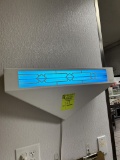 Bug light