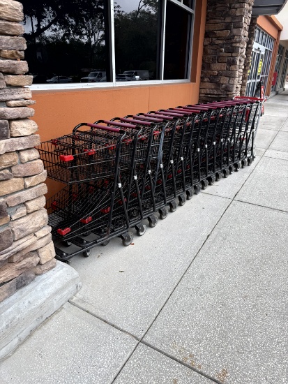Mini Shopping Carts