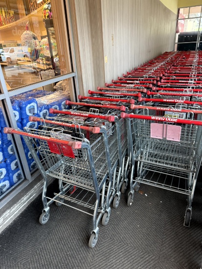 Standard Size Shopping Carts