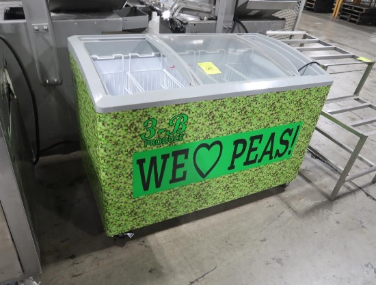 portable freezer merchandiser