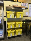 WALL SHELVING SECTION W/ HAZMAT BINS