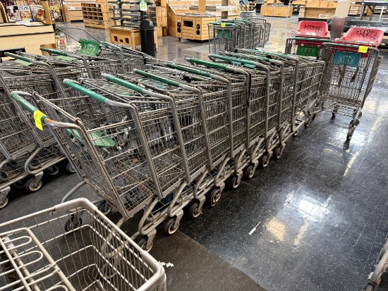 STANDARD SIZE SHOPPING CARTS