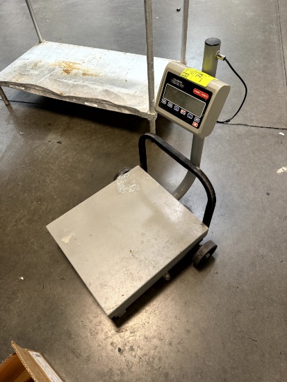 TORREY 250LBS SCALE