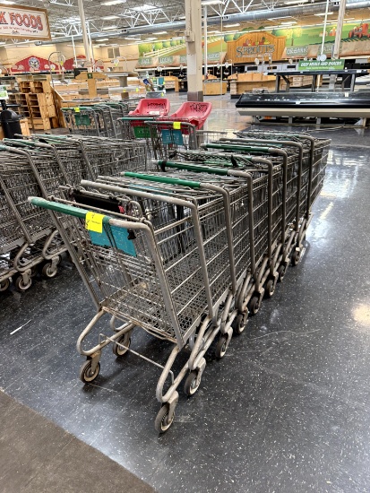 STANDARD SIZE SHOPPING CARTS