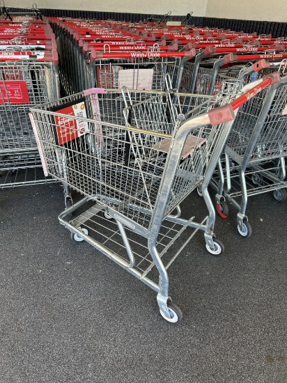 STANDARD SIZE SHOPPING CARTS