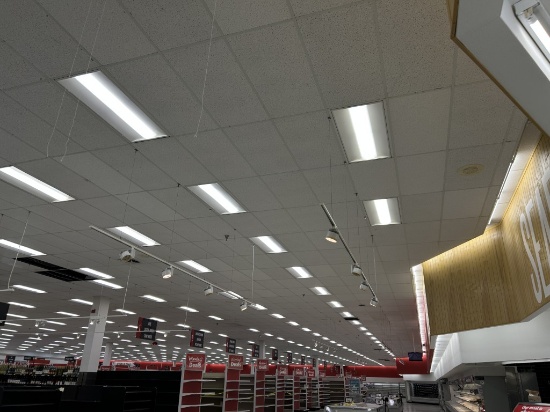 TRACK LIGHTING OVER MEAT & SEAFOOD