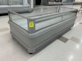 KYSOR WARREN 8FT LOW TEMP BUNKER CASE